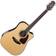 Takamine GD90CE-ZC