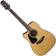 Takamine GD10CELH