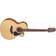 Takamine GN15CE