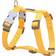 Red Dingo Liso 46-76 cm