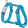 Red Dingo Liso 46-76 cm