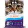 Intersand Classic Clumping Unscented