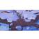 PS4 Asterix & Obelix XXL 3: The Crystal Menhir Limited Edition