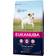 Eukanuba Caring Senior Small Breed 3kg