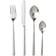 Bitz Satin Cutlery Set 16pcs