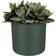Elho B.For Soft Duo Flower Pot