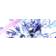 Megadimension Neptunia VIIR PlayStation VR