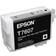 Epson T7607 (Light Black)