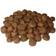 Adult Family Dog 12kg