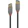 Lindy Anthra Line USB A-USB A 3.1 Gen.1 M-F