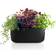 Eva Solo Herb Organiser - Black 5.118x12.205x5.118"