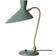 Warm Nordic Bloom Table Lamp 42cm