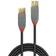Lindy Anthra Line USB A-USB A 3.1 Gen.1 M-F