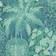 Cole & Son Fern Wallpaper Botanical Botanica Collection Roll Viridian Teal 115/7022