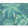 Cole & Son Fern Wallpaper Botanical Botanica Collection Roll Viridian Teal 115/7022