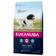 Eukanuba Active Adult Medium Breed with Chicken 15kg