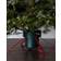 Star Trading Granig Julgransfot 57cm