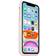 Apple Smart Battery Case (iPhone 11)