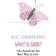 What is Good?: The Search for the Best Way to Live (Paperback)