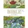 My Little Picture Bible (Childrens Bible) (Hardcover, 2008)