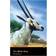 The White Oryx: Easystarts (Penguin Readers Simplified Text) (Paperback, 2008)