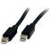 StarTech DisplayPort Mini - DisplayPort Mini 3ft