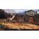Cabela's Big Game Hunter: Pro Hunts (PC)