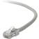 Belkin UTP Cat5e RJ45 9.8ft