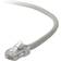 Belkin UTP Cat5e RJ45 1m