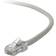 Belkin UTP Cat5e RJ45 3.3ft