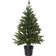 Star Trading Village Christmas Tree 120cm