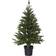 Star Trading Busch Green Julgran 90cm