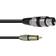 Omnitronic RCA-XLR M-F 0.2m