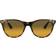 Ray-Ban Wayfarer II Evolve RB2185 1248AC