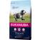 Eukanuba Caring Senior Medium Breed 15kg