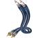 Inakustik Premium Audio 2RCA - 2RCA