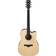 Ibanez AWFS580CE