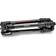 Manfrotto Befree GT Carbon + MH496-BH