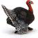 Schleich Turkey 13900