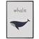 XO Posters Whale Poster