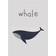 XO Posters Whale Poster