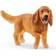 Schleich English Cocker Spaniel 13896