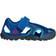 Adidas Kid's Terrex Captain Toey - Blue Beauty/Grey Six/Active Red