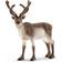 Schleich Reindeer 14837