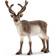 Schleich Rensdyr 14837
