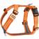 Dog Copenhagen Comfort Walk Air Harness L