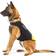 Julius-K9 IDC Neoprene Dog Jacket L