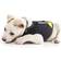 Julius-K9 IDC Neoprene Dog Jacket S