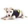 Julius-K9 IDC Neoprene Dog Jacket XS