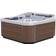 Artesian Spas Swimspa Eagle Crest